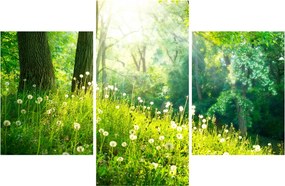 Obraz - Magická lúka plná púpav (90x60 cm)
