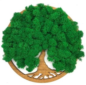 Strom na stenu z machu Dark Tiana 20 cm