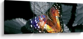 Obraz motýľa (s hodinami) (90x30 cm)