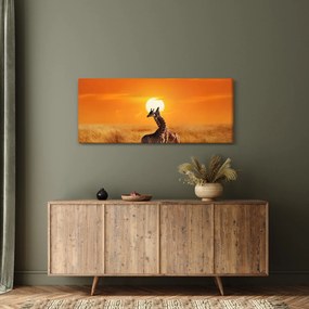 Obraz - Žirafy v národnom parku Serengeti (120x50 cm)