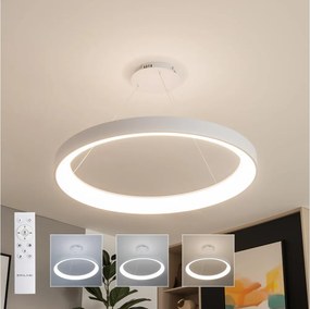 Brilagi - LED stmievateľný luster FALCON II LED/108W/230V 3000-6500K pr. 80 cm biela + diaľkové ovládanie