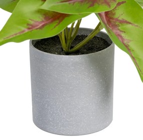 Umelá rastlina (výška 20 cm) Syngonium – Ixia