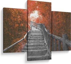 Obraz - Schody v prírode, oranžová (90x60 cm)