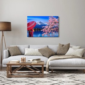 Obraz - Výhľad na vrchol, Japonsko (90x60 cm)