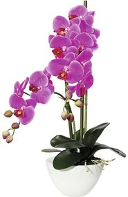 Umelá orchidea phalaenopsis 50 cm lila v bielej keramickej miske 14,5 x 8,5 cm Real Touch
