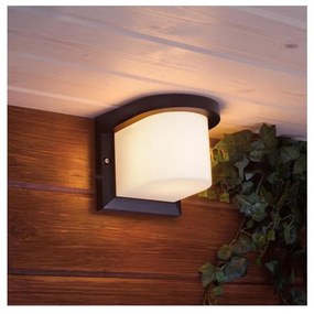 Vonkajšie nástenné svietidlo PETUNIA 1xE27/60W/230V IP44 antracit