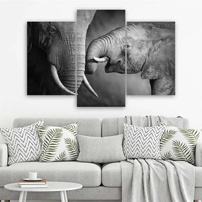 Gario Obraz na plátne Rodina slonov - 3 dielny Rozmery: 60 x 40 cm