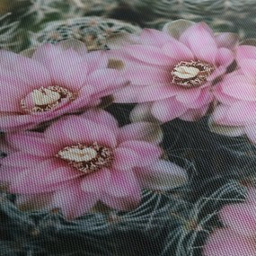 Obraz kvet kaktusu (120x50 cm)