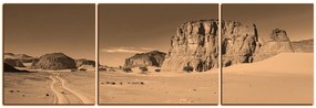 Obraz na plátne - Cesta v púšti - panoráma 5129FC (120x40 cm)