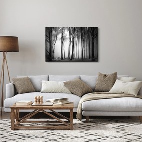 Obraz - Vlk v temnom lese (90x60 cm)