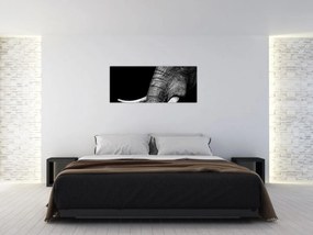 Obraz - Slonie kly (120x50 cm)
