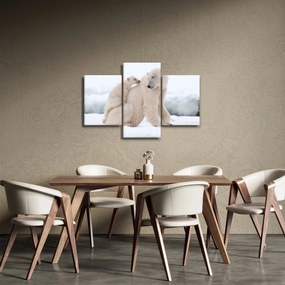 Obraz - Ľadové medvede (90x60 cm)