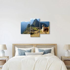 Obrázok - Lama a Machu Picchu (90x60 cm)