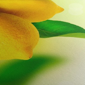 Obraz citrónov (120x50 cm)