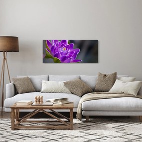 Obraz kvetu (120x50 cm)