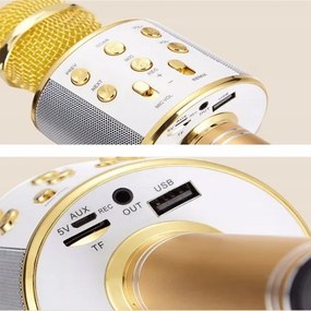 WS 858 BEZDRÔTOVÝ MIKROFÓN KARAOKE zlatá