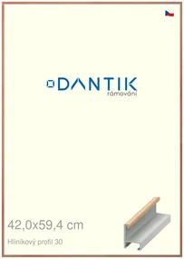 DANTIK rám na obraz 42x59,4 | ALU Dýha dub lak matný (Plexi Čiré)