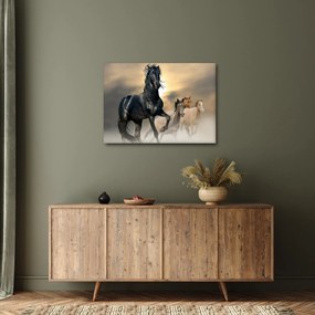 Obraz - Kone (70x50 cm)