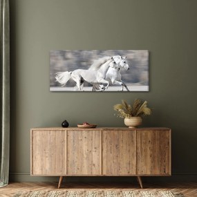 Obraz - Biele kone v zime (120x50 cm)