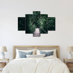 Obraz - Cesta lesom (150x105 cm)