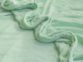 XPOSE® Froté plachta Exclusive - svetlo zelená 90x200 cm