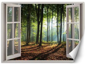Fototapeta, Okno s pohledem na ráno v lese - 140x100 cm