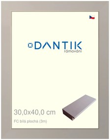 DANTIK rám na obraz 30x40 | FC Bílá plochá (Plexi Čiré)