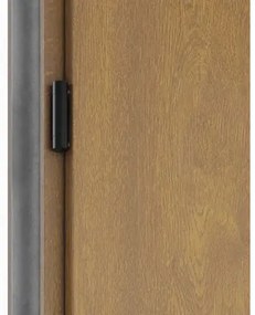 Kovové vchodové dvere P68 Artemida 90 Ľ dub zlatý