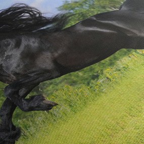 Obraz - Kôň s vzdušnou hrivou (150x105 cm)