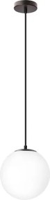 BRILAGI - Závesné svietidlo na lanku POLOS 1xE27/40W/230V pr. 20 cm čierna