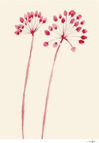 Moikka Plagát Flowers 02 by Ana Frois 30x40