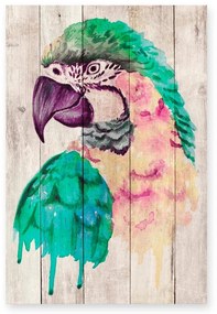 Nástenná dekorácia z borovicového dreva Madre Selva Watercolor Parrot, 60 × 40 cm