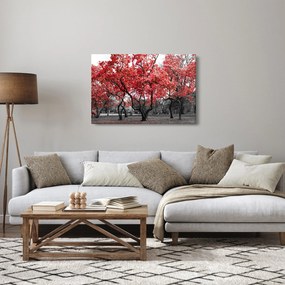 Obraz - Červené stromy, Central Park, New York (90x60 cm)
