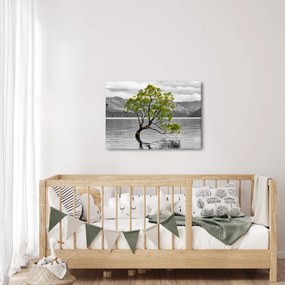 Obraz stromu uprostred jazera (70x50 cm)