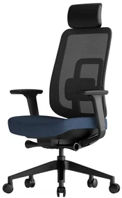 Kancelárska ergonomická stolička K42 — sieť, látka, čierna / viac farieb Modrá