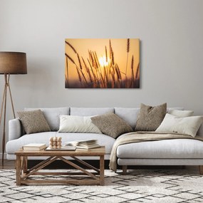 Obraz - Traviny na slnku (90x60 cm)