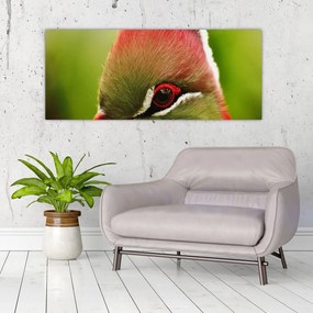 Obraz farebného vtáka (120x50 cm)