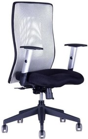OFFICE PRO -  OFFICE PRO Kancelárska stolička CALYPSO GRAND BP sivá svetlá