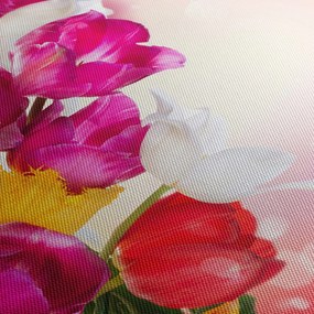 Obraz tulipánov (120x50 cm)