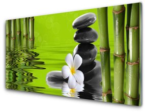 Obraz na akrylátovom skle Bambus kamene rastlina 140x70 cm