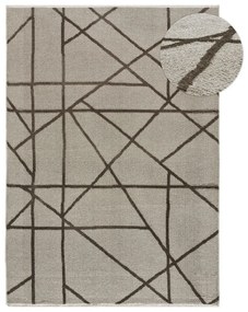 Svetlohnedý koberec 120x170 cm Lux – Universal