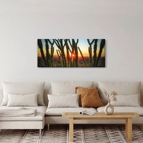 Obraz - Rastliny (120x50 cm)