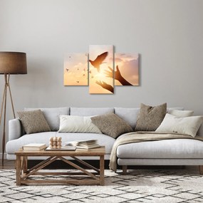 Obraz - Holubica, leť! (90x60 cm)