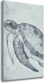 Obraz na plátne KORYTNAČKA