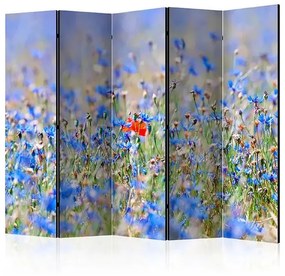 Paraván - A sky-colored meadow - cornflowers II [Room Dividers] Veľkosť: 225x172, Verzia: Jednostranný