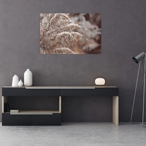 Obraz rastlín (90x60 cm)