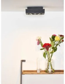 Lucide 09119/11/30 - LED Bodové svietidlo XIRAX 2xGU10/5W/230V čierna