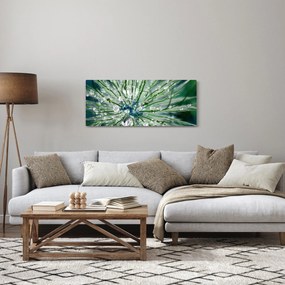 Obraz - Makro snímka kvetu (120x50 cm)
