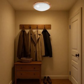 Brilagi - Stropné svietidlo ORBIS 2xE27/60W/230V priemer 38 cm borovica