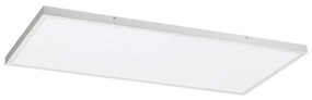 Rabalux 71079 - LED Prisadený panel DAMEK LED/80W/230V 4000K 120x60 cm 71079